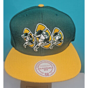 Mitchell Ness Green Bay Packers NFL Snapback Hat Tapestry 3 LOGO